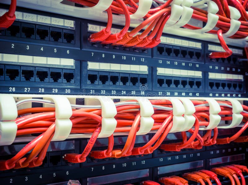 Close up of red network cables connected to switch royalty free stock image
