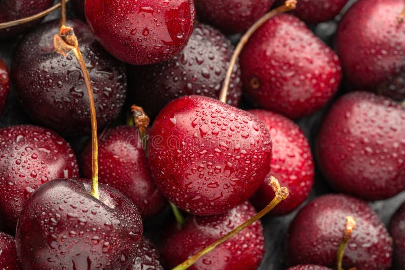 Close Up Of Ripe Cherries With Large Collection Of Fresh Red Cherries