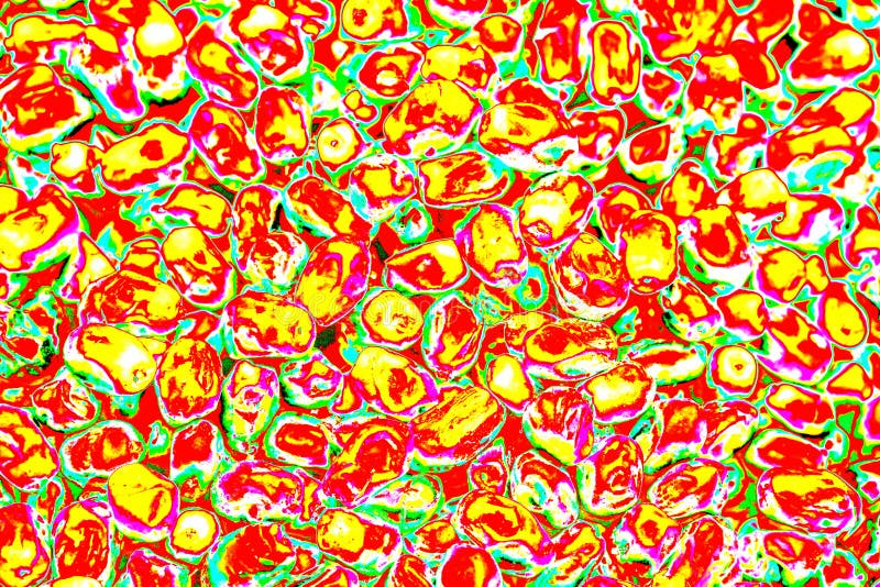 Close-up of ripe dates on a white background. Changed color scheme. colorful background. royalty free illustration