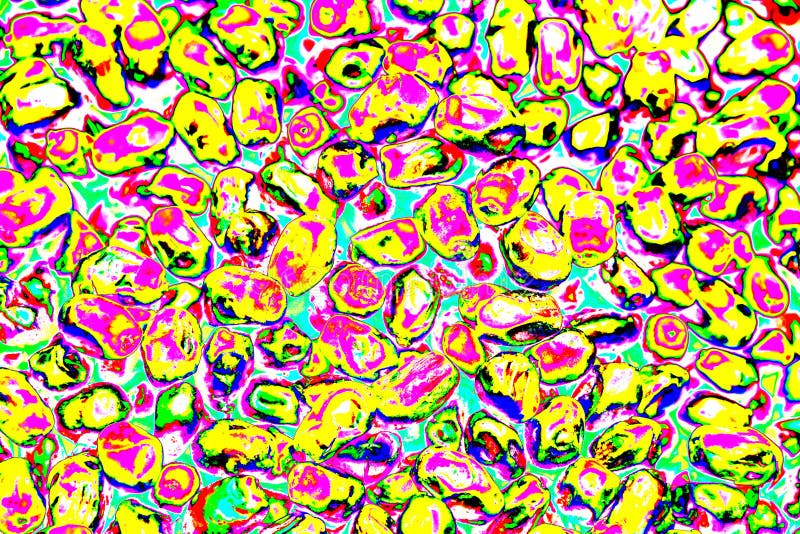 Close-up of ripe dates on a white background. Changed color scheme. colorful background.