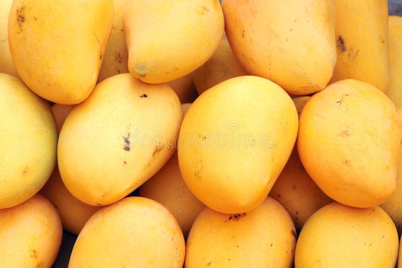 166,517 Mango Stock Photos Free & RoyaltyFree Stock Photos from