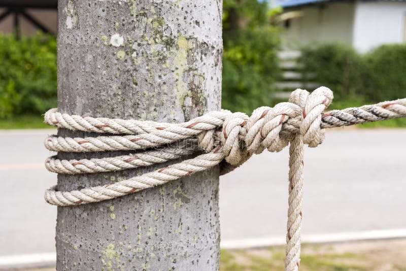 Rope Tie Around Tree Stock Photos - Free & Royalty-Free Stock Photos from  Dreamstime