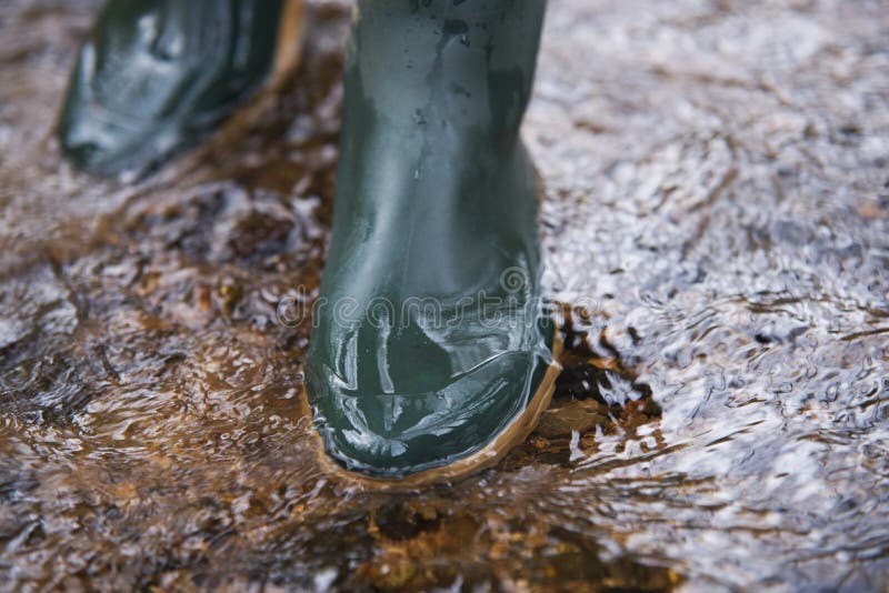 Close Up on Rubber Boots in the Water Stock Photo Image of puddle, healthy 78314770