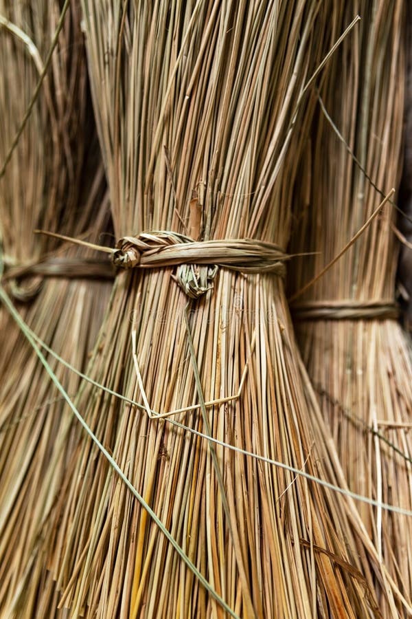 Close-up on sacks of straws for sedge mat weaving in Ben Tre, Mekong delta region, Vietnam.Vertical view stock photo Close-up on sacks of straws for sedge mat weaving in Ben Tre, Mekong delta region, Vietnam.Vertical view stock photo