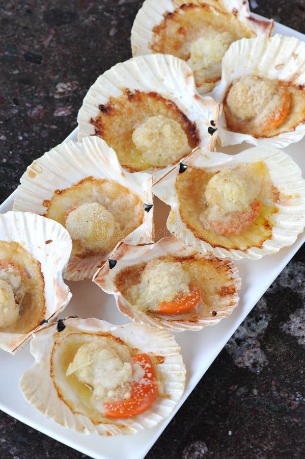 Scallops shell on a plate. Bivalve shell stock images, royalty-free photos and pictures