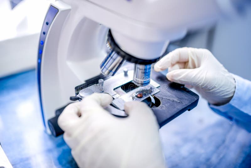 close-up of scientist hands with microscope, examining samples royalty free stock images close-up of scientist hands with microscope, examining samples royalty free stock images
