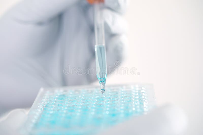 Close up a scientist working in laboratory to analyze blue extra stock images