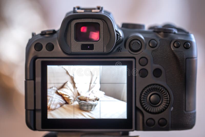 Close Up of the Screen of a Professional Digital Camera on a Tripod while  Shooting a Home Composition Stock Photo - Image of male, process: 208509756