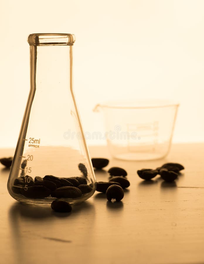 Close Up Shot of Coffee Beans in Laboratory Glassware Being Tested Stock Photo Image of