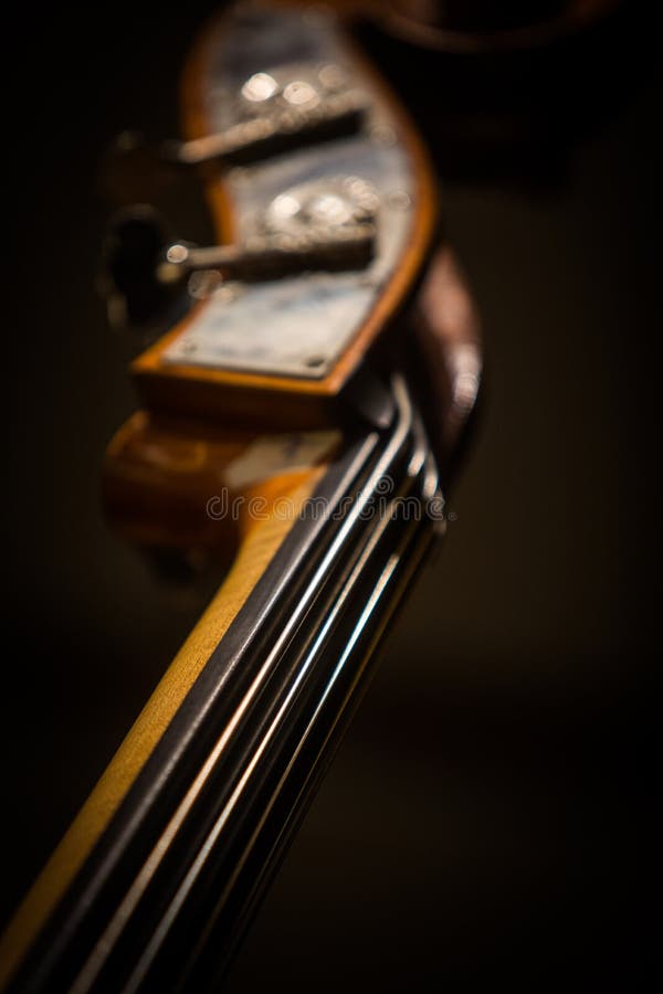 Double Bass Scroll and Tuning Pegs Stock Photo Image of contrabass