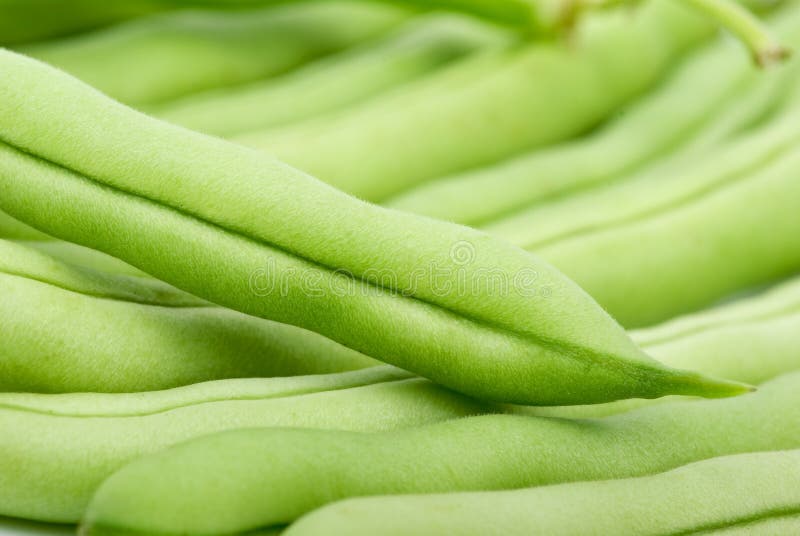 Close-up shot of green bean pods. Shallow DOF