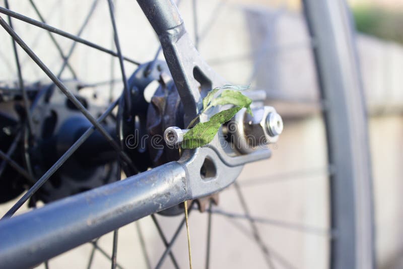 Closeup Shot of a Leaf Stuck in a Bicycle Wheel Stock Image Image of background, recreation