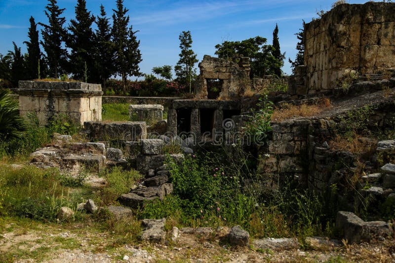 Closeup Shot of Old Ruins of an Ancient Building Covered in Grass