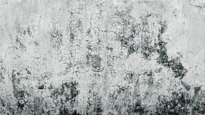 A close-up shot of a weathered wall with a cracked and textured surface. The image showcases a grayscale palette with variations in tone, highlighting the intricate network of cracks and imperfections. This versatile texture can be used as a background for various design projects, adding a touch of age, grunge, and visual interest. Suitable for print and digital applications. Retro grayscale paint stock images, royalty-free photos and pictures