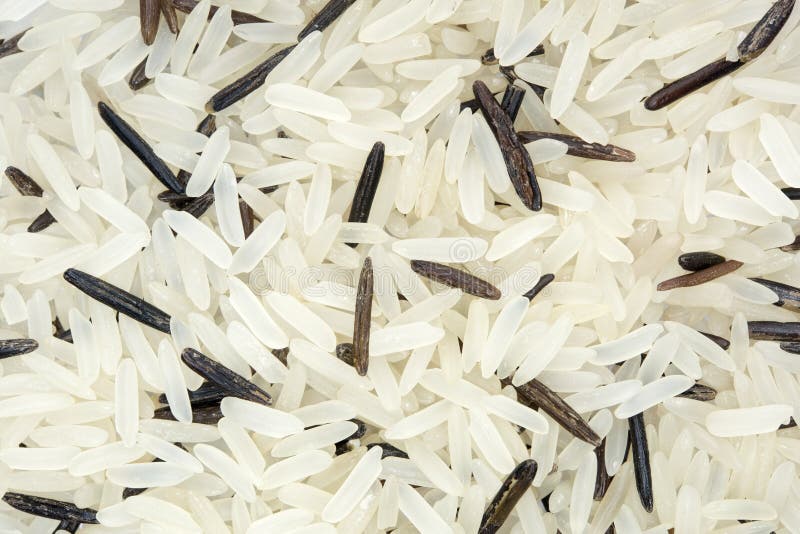 Close Up Shot of White and Wild Rice Mixture(textured) Stock Image