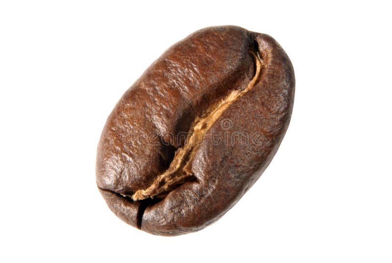 Single roasted coffee bean stock photo. Image of details 51915722