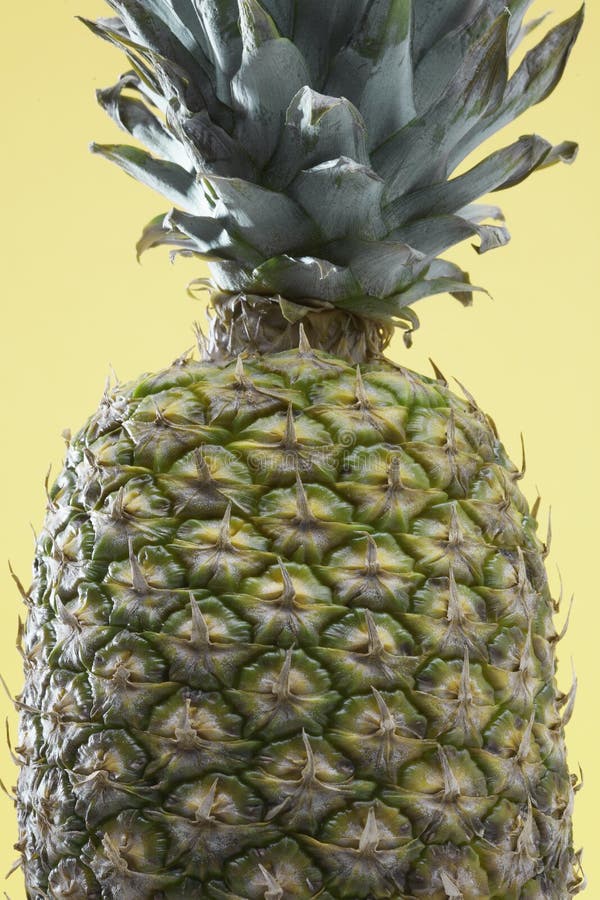 Close-up of single pineapple