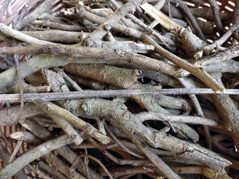 Close Up of Small Dried Branches Stock Image - Image of snow, dried ...