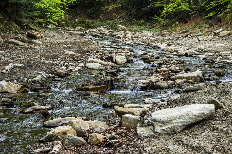 A Forest River Stock Photo Image Of Rocks Beskidy 168980970