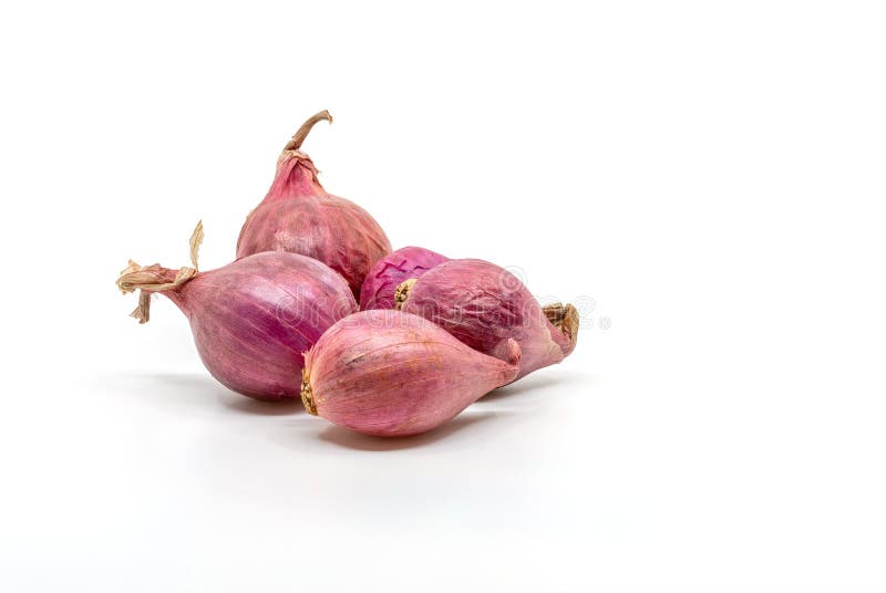 Shallot Small Red - Free photo on Pixabay - Pixabay