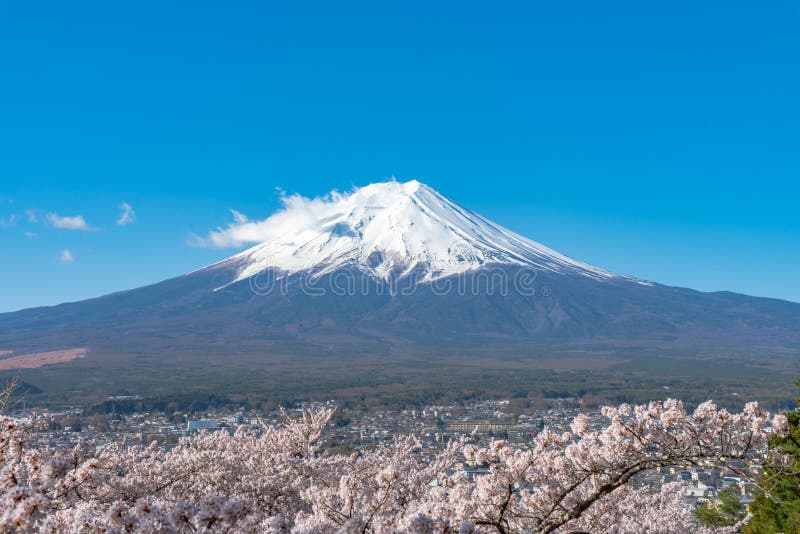 7,916 Snow Sakura Stock Photos - Free & Royalty-Free Stock 7,916 Snow Sakura Stock Photos - Free & Royalty-Free Stock