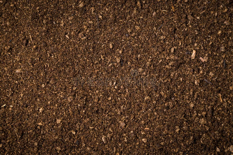 Close Up of the Peat Soil Texture Background Stock Photo Image of