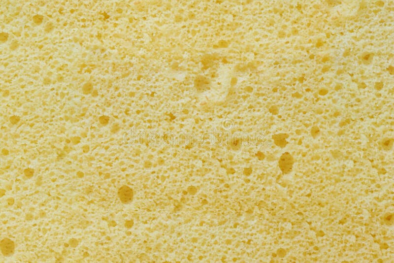 Close up yellow homemade airy sponge cake flavored with vanilla texture for background.