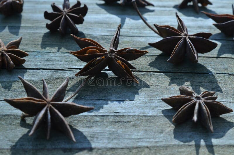 Close Up of Star Anise Seed Pods Spice Stock Photo Image of closeup