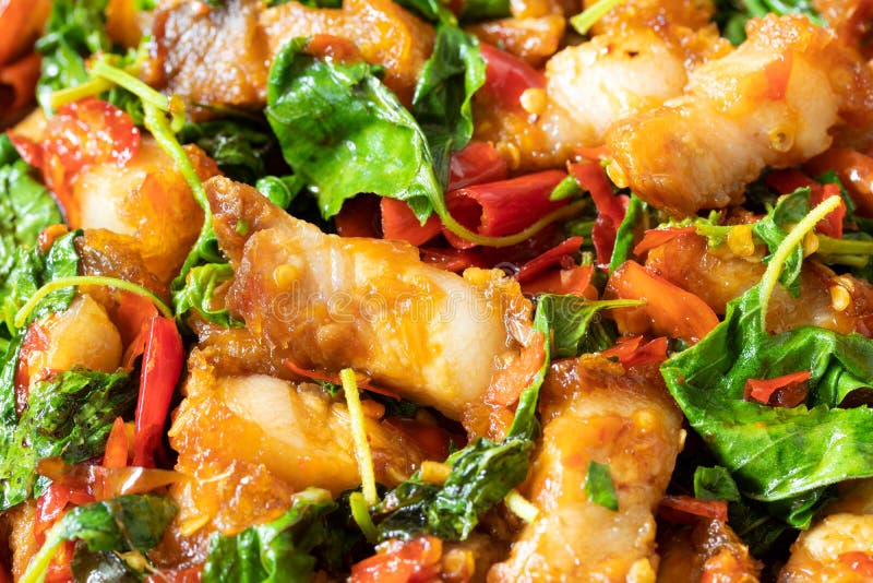 Close up of stir fried crispy pork with holy basil, thai food royalty free stock photo Close up of stir fried crispy pork with holy basil, thai food royalty free stock photo