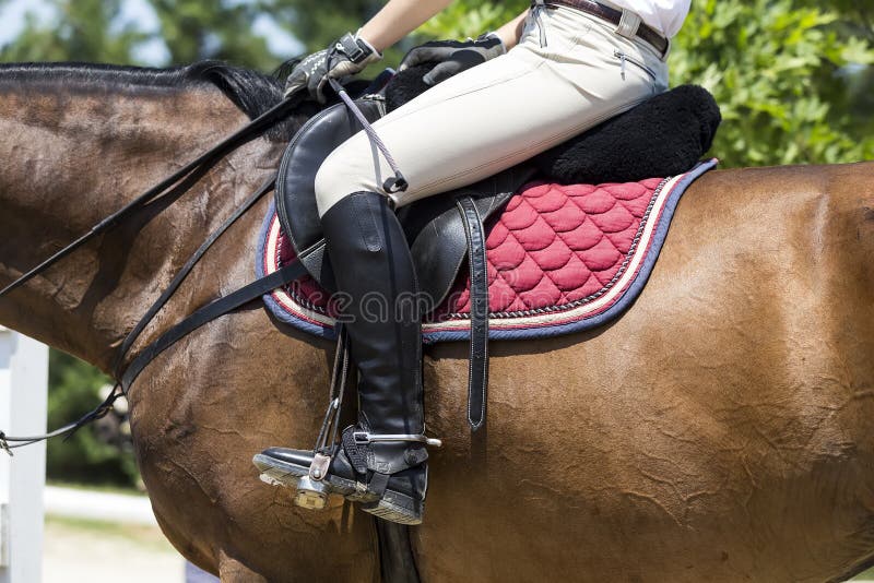 Close Up of the Stirrup on the Horse during Competition Matches Stock ...