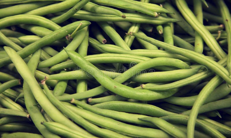 runner beans in urdu