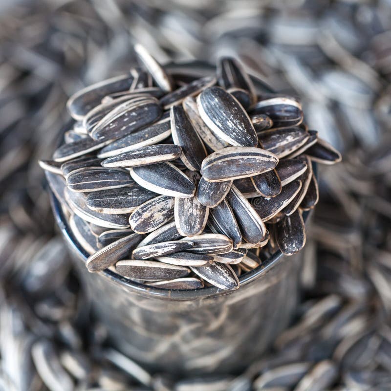 Closeup Sunflower Seed in a Cup, Stock Photo Image of dried