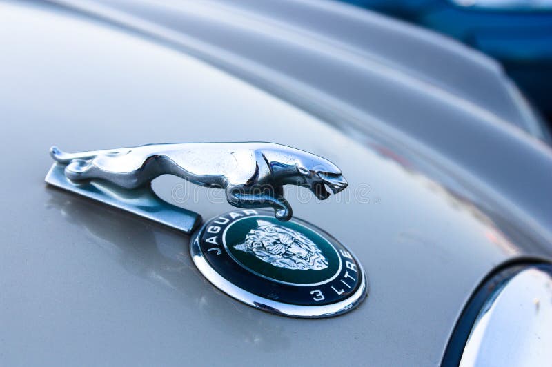 106 Jaguar Hood Ornament Stock Photos - Free & Royalty-Free Stock Photos  from Dreamstime
