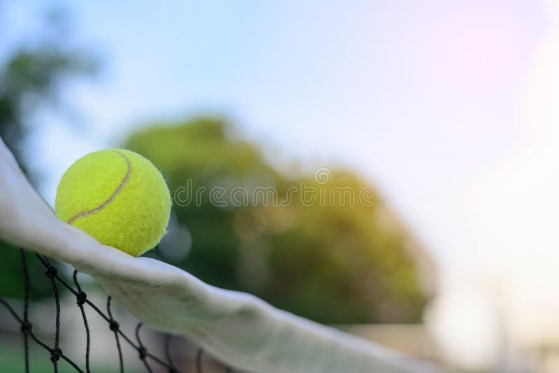 Tennis balls on net