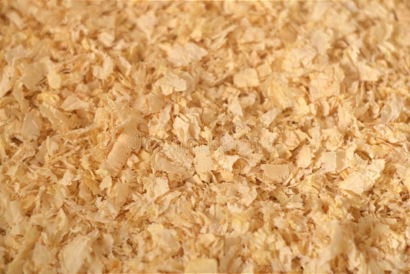 Close Up Texture of Pine Wood Shavings Stock Photo - Image of bedding, macro: 156437660 Close Up Texture of Pine Wood Shavings Stock Photo - Image of bedding, macro: 156437660