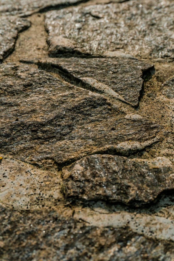 Rough stone wall with varying gray hues and natural textures. Irregular shapes form an interlocking pattern, creating a rustic and organic appearance. The surface features visible grains, cracks, and crevices, enhancing its tactile feel. Ideal for backgrounds, the wall offers an architectural charm and a sense of durability. Seamless brick textures stock images, royalty-free photos and pictures