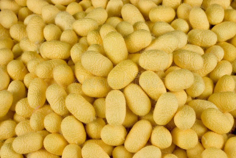 Thai silk pattern, design, texture, thread, cocoon, tool and equipment. royalty free stock images