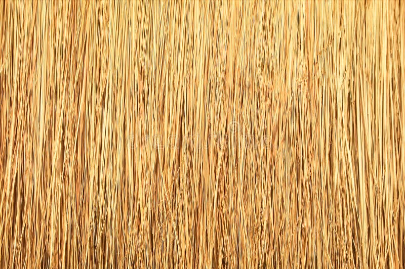 Close Up Of Thatch Roof Background Hay Or Dry Grass Background