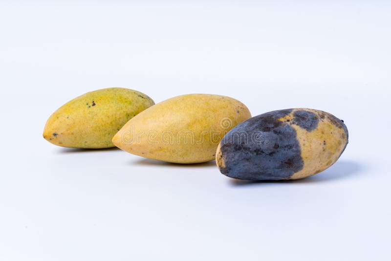 top view two pieces rotten mangos close up on a white background Stock  Photo - Alamy