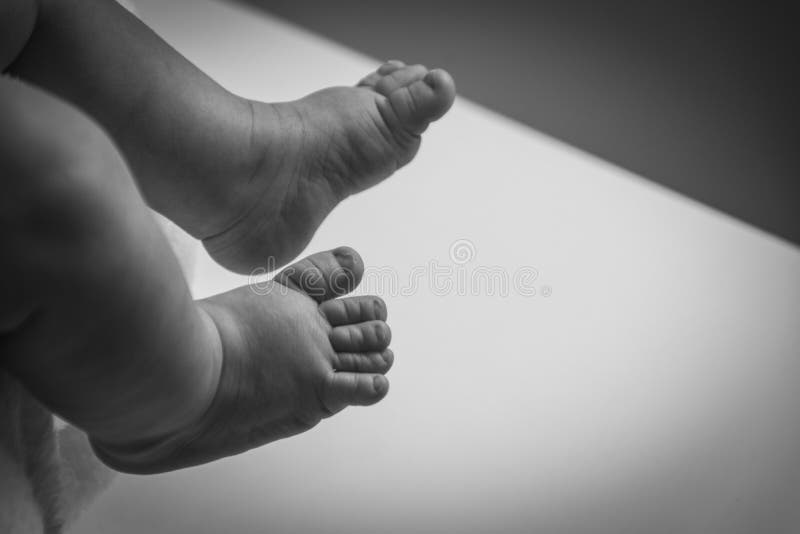 A Closeup Of Tiny Baby Feet In Black And White. Stock Photo Image of