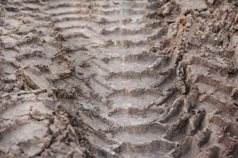 Close-up tire tracks truck on a dirt road in daylight
