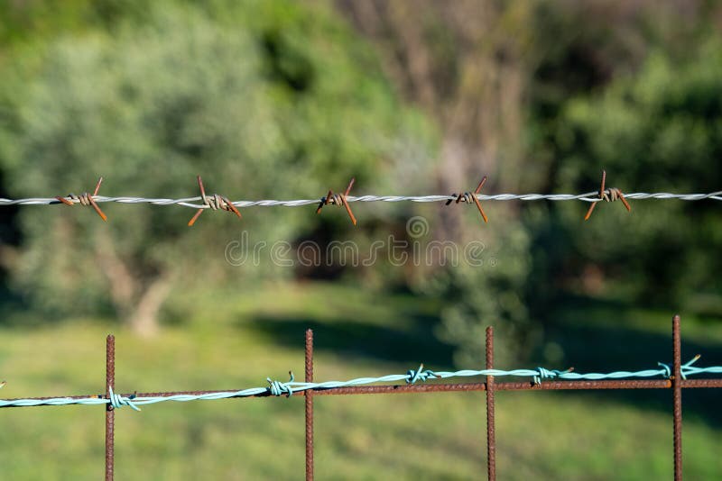 Close up of twisted barbed wire stretched across a fence with rusty metal posts and a second wire below, sharp focus on stock photography