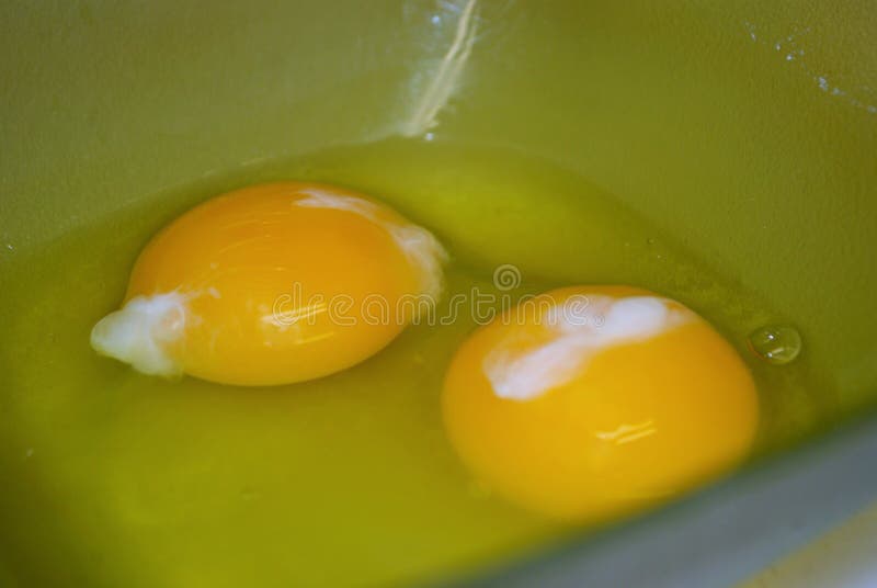 Close Up of Two Raw Eggs in a Green Plastic Bowl Stock Image Image of