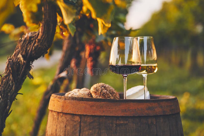 Two wine glasses on an old wooden barrel stock images