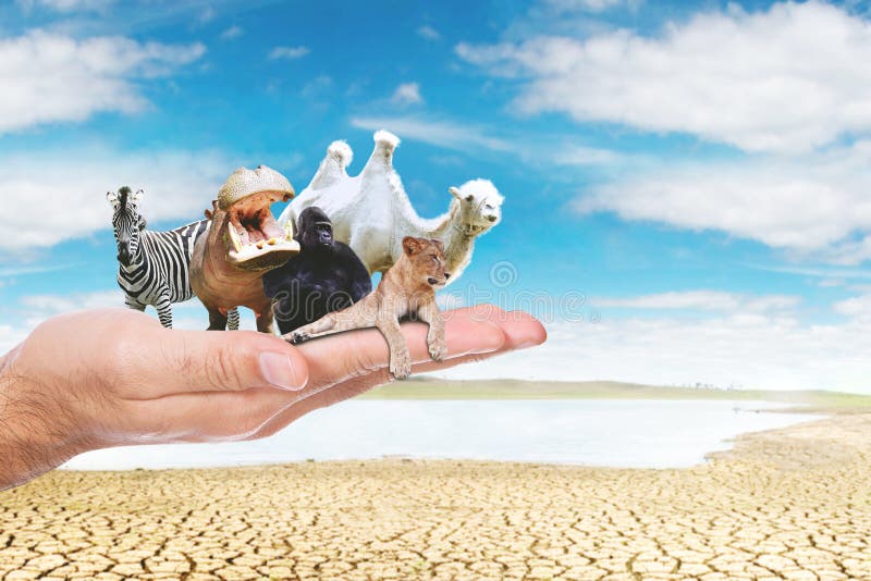 85,094 Endangered Animals Stock Photos - Free & Royalty-Free Stock Photos from Dreamstime 85,094 Endangered Animals Stock Photos - Free & Royalty-Free Stock Photos from Dreamstime
