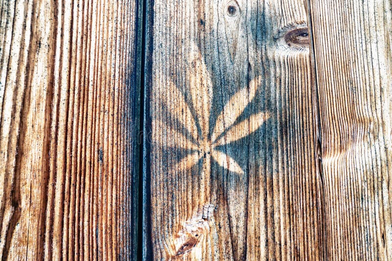 Close-up van blad op houten muur wordt gedrukt die royalty-vrije stock foto's Close-up van blad op houten muur wordt gedrukt die royalty-vrije stock foto's