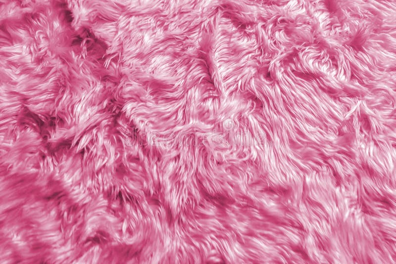 Close-up van Natuurlijke Zachte Romantische de Woltextuur van het Pastelkleur Roze Dierlijke Pluizige Bont voor het Materiaal van
