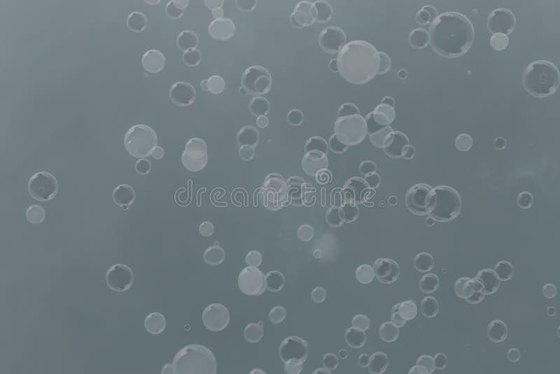 Close-up van vele kleine zeepbels op een lichtgrijze achtergrond wordt geschoten die royalty-vrije illustratie Close-up van vele kleine zeepbels op een lichtgrijze achtergrond wordt geschoten die royalty-vrije illustratie