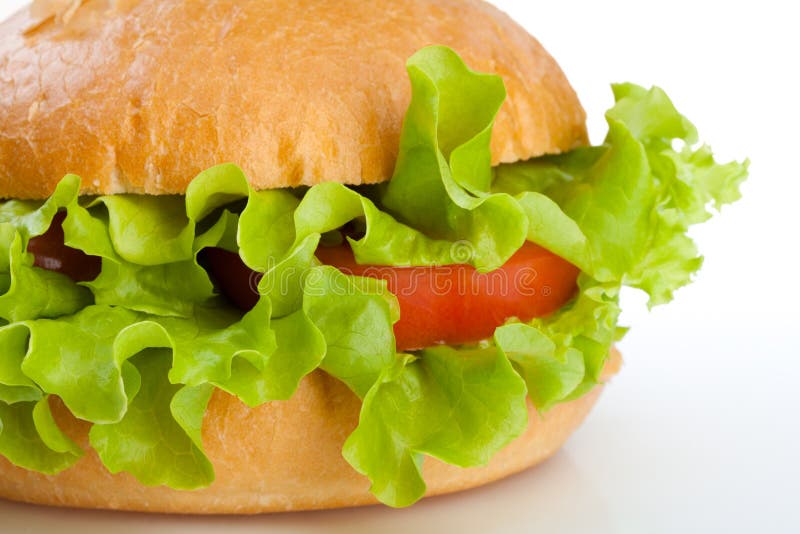 Close-up of vegetarian healthy hamburger