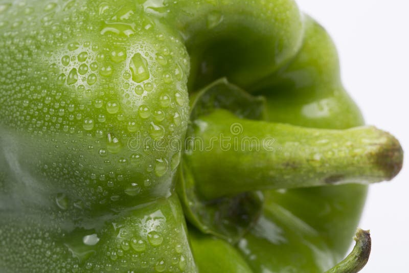 Close up verde fresco da pimenta de sino